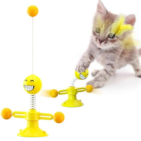Jouet chat interactif tête amovible – C'est tout chat : Boutique en ligne  pour les passionnés de chats